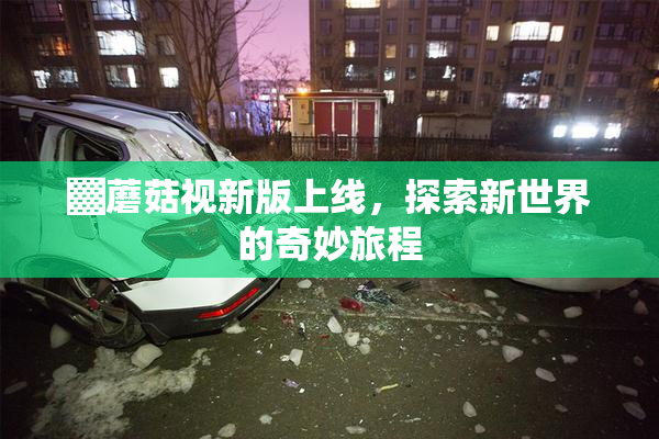 ▓蘑菇视新版上线，探索新世界的奇妙旅程