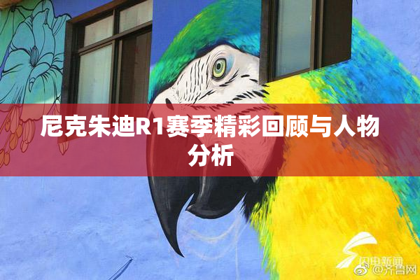 尼克朱迪R1赛季精彩回顾与人物分析