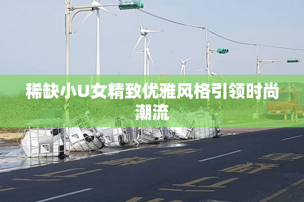 稀缺小U女精致优雅风格引领时尚潮流