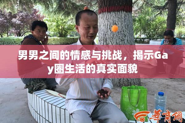 男男之间的情感与挑战，揭示Gay圈生活的真实面貌