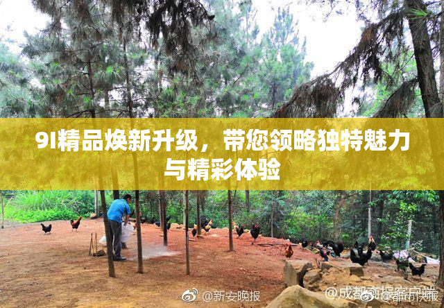 9I精品焕新升级，带您领略独特魅力与精彩体验