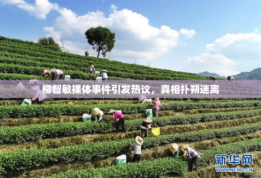 柳智敏裸体事件引发热议，真相扑朔迷离