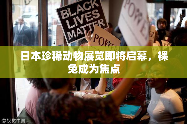 日本珍稀动物展览即将启幕，裸兔成为焦点