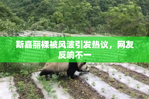斯嘉丽裸被风波引发热议，网友反响不一