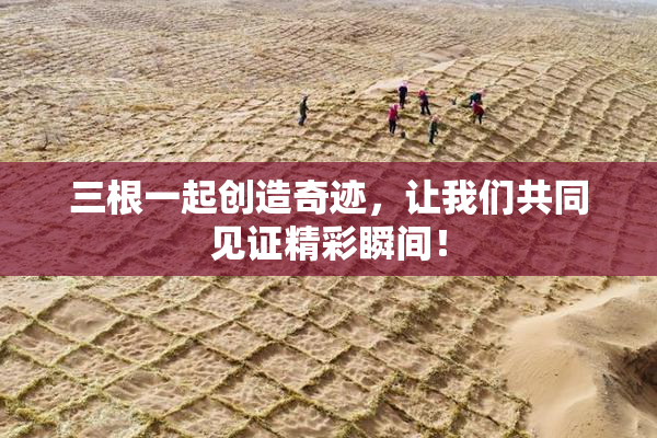 三根一起创造奇迹，让我们共同见证精彩瞬间！