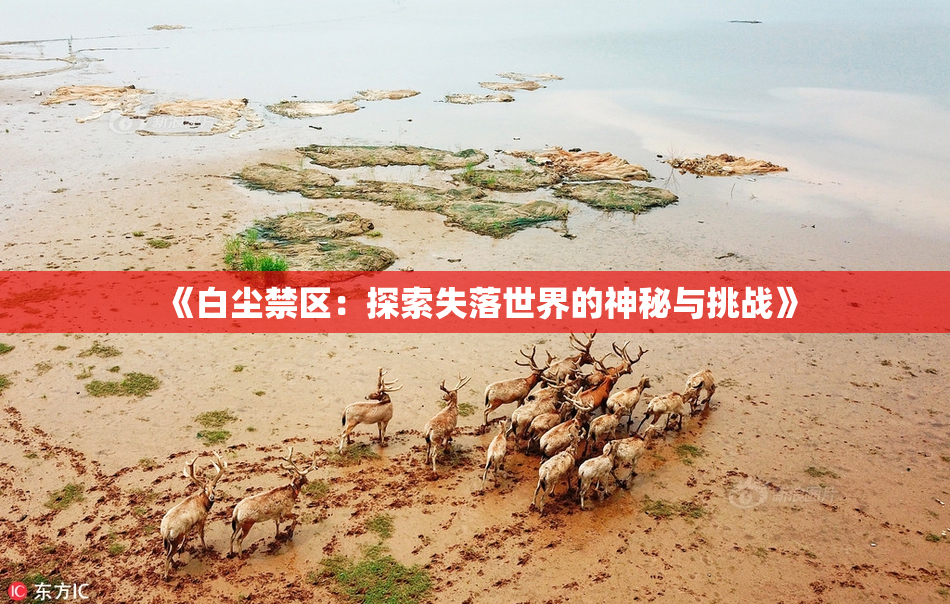 《白尘禁区：探索失落世界的神秘与挑战》