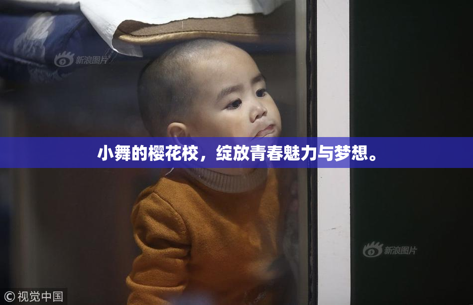 小舞的樱花校，绽放青春魅力与梦想。