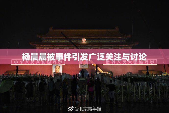 杨晨晨被事件引发广泛关注与讨论