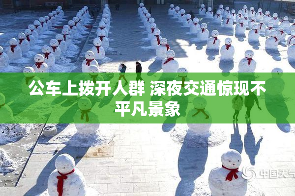 公车上拨开人群 深夜交通惊现不平凡景象