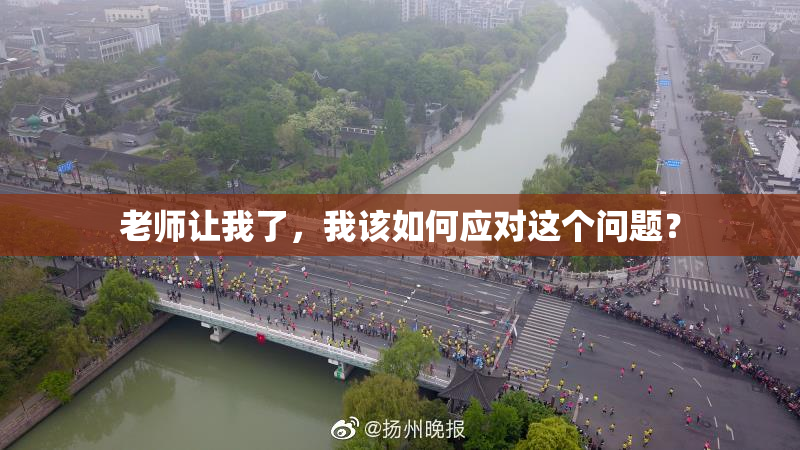 老师让我了，我该如何应对这个问题？