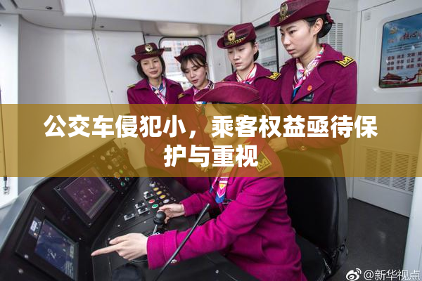 公交车侵犯小，乘客权益亟待保护与重视