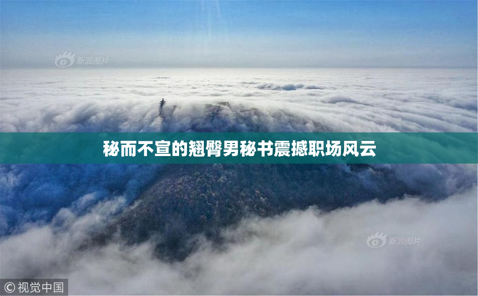 秘而不宣的翘臀男秘书震撼职场风云