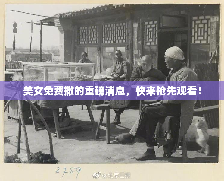 美女免费撒的重磅消息，快来抢先观看！