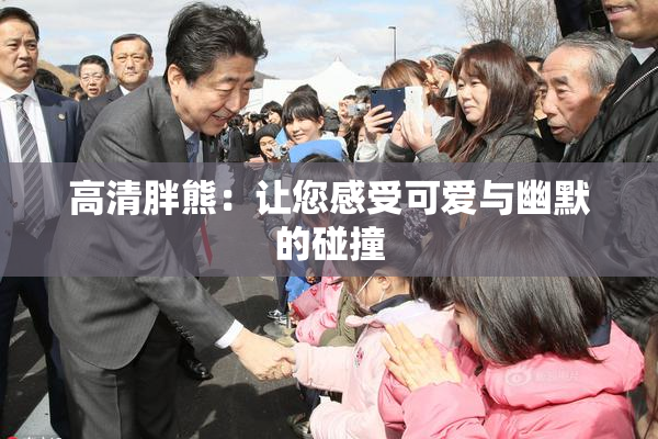 高清胖熊：让您感受可爱与幽默的碰撞