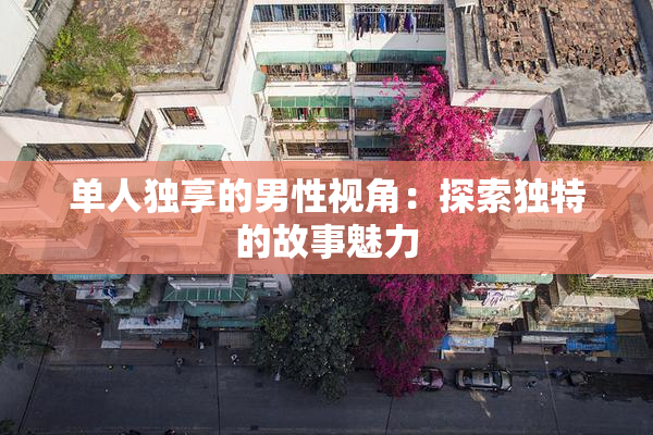 单人独享的男性视角：探索独特的故事魅力