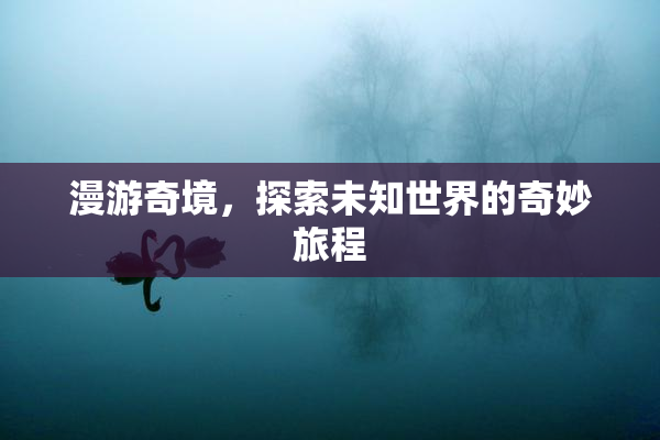 漫游奇境，探索未知世界的奇妙旅程