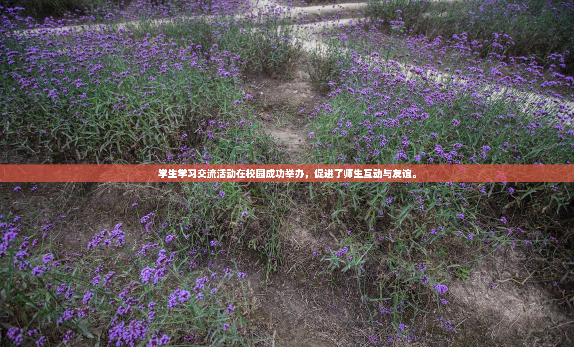 学生学习交流活动在校园成功举办，促进了师生互动与友谊。