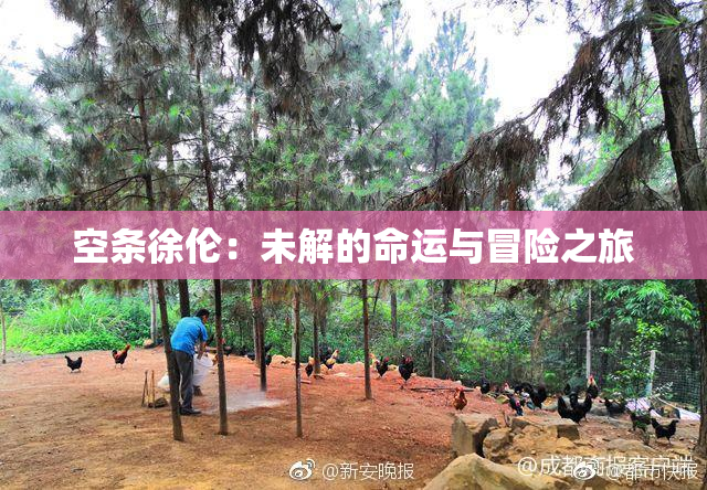 空条徐伦：未解的命运与冒险之旅