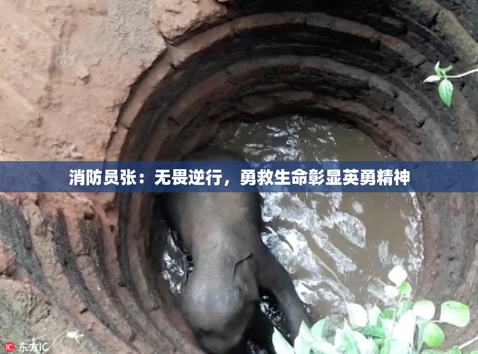 消防员张：无畏逆行，勇救生命彰显英勇精神