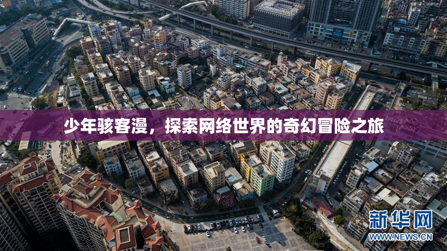 少年骇客漫，探索网络世界的奇幻冒险之旅