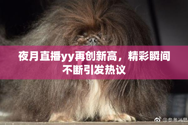 夜月直播yy再创新高，精彩瞬间不断引发热议