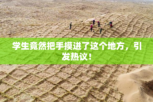 学生竟然把手摸进了这个地方，引发热议！