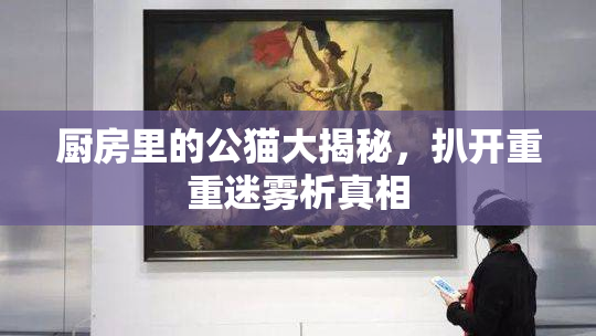 厨房里的公猫大揭秘，扒开重重迷雾析真相