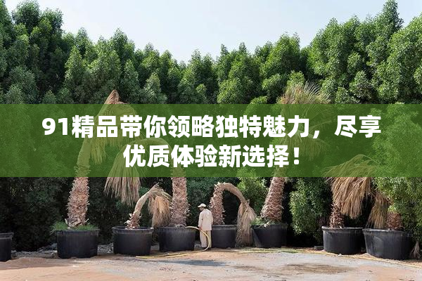 91精品带你领略独特魅力，尽享优质体验新选择！