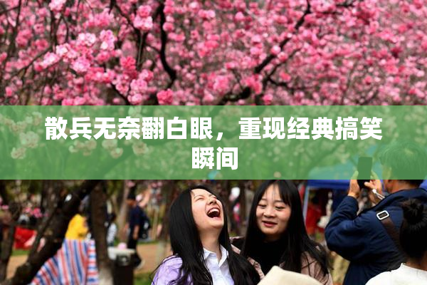 散兵无奈翻白眼，重现经典搞笑瞬间
