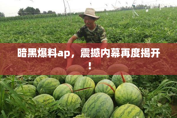 暗黑爆料ap，震撼内幕再度揭开！