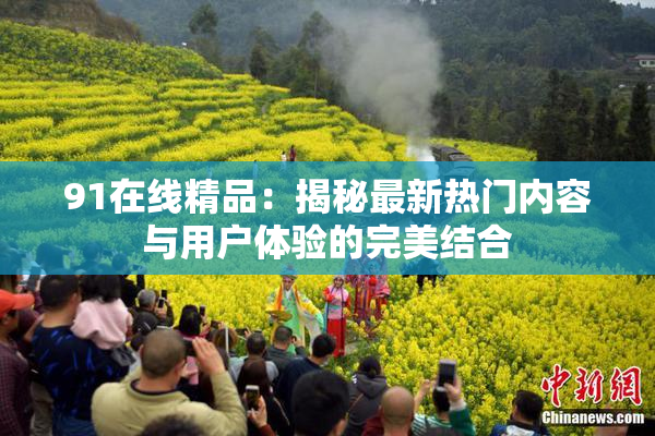 91在线精品：揭秘最新热门内容与用户体验的完美结合