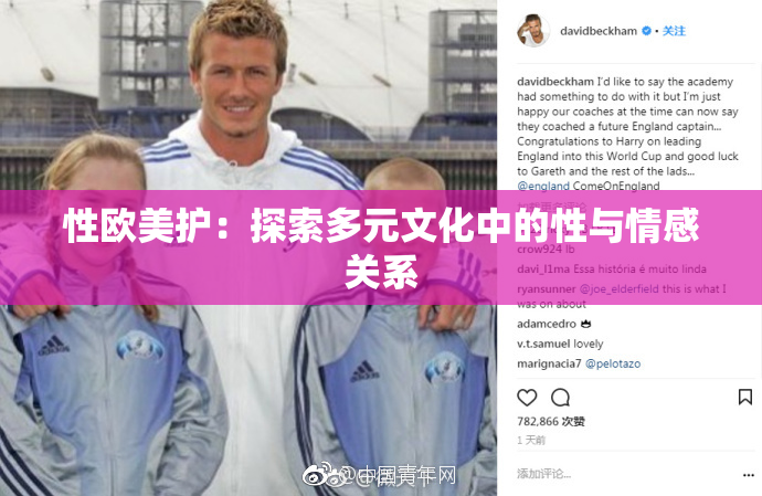 性欧美护：探索多元文化中的性与情感关系