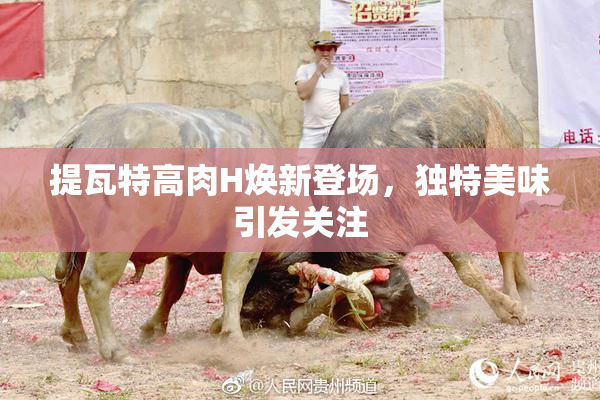 提瓦特高肉H焕新登场，独特美味引发关注