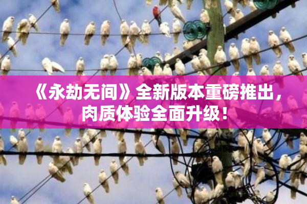 《永劫无间》全新版本重磅推出，肉质体验全面升级！