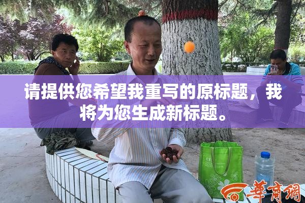 请提供您希望我重写的原标题，我将为您生成新标题。