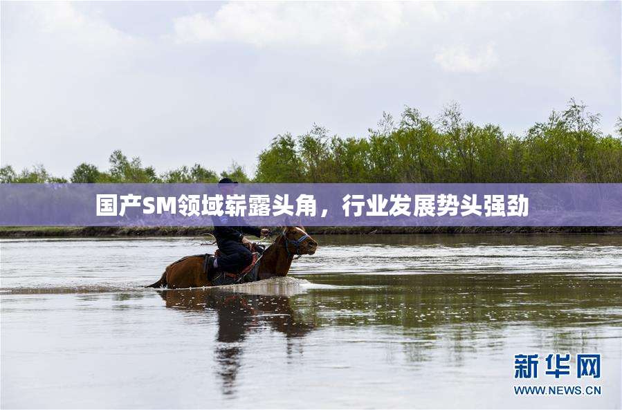 国产SM领域崭露头角，行业发展势头强劲