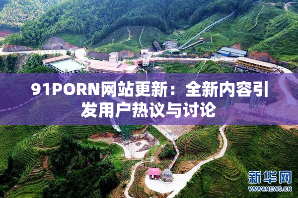 91PORN网站更新：全新内容引发用户热议与讨论