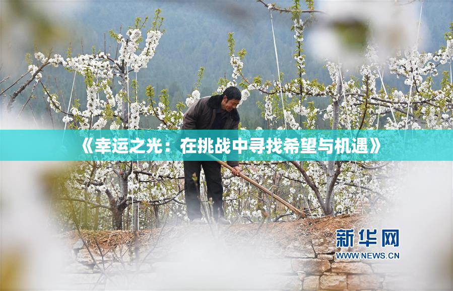 《幸运之光：在挑战中寻找希望与机遇》