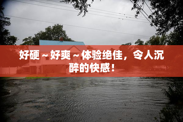 好硬～好爽～体验绝佳，令人沉醉的快感！