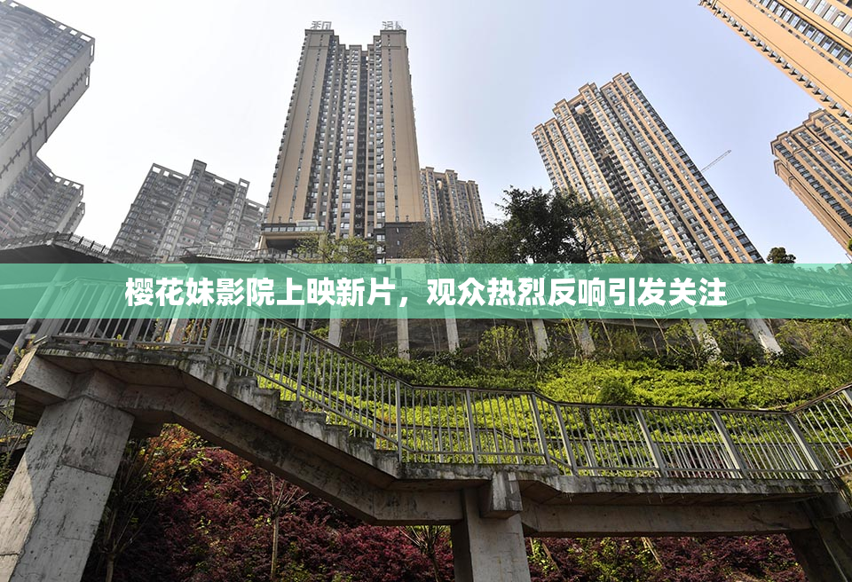 樱花妹影院上映新片，观众热烈反响引发关注