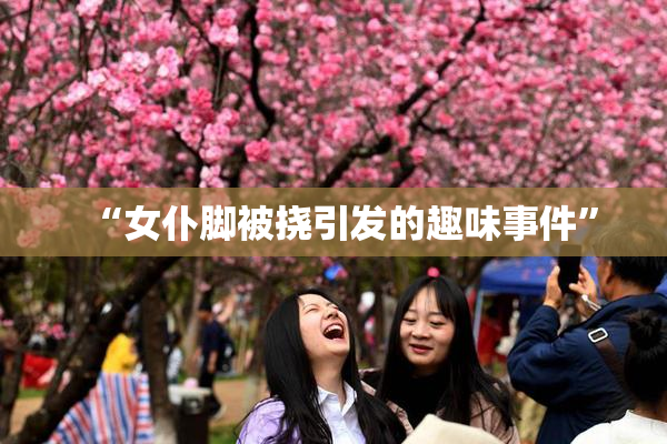 “女仆脚被挠引发的趣味事件”