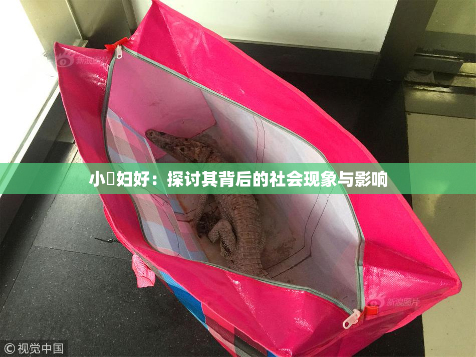 小婬妇好：探讨其背后的社会现象与影响