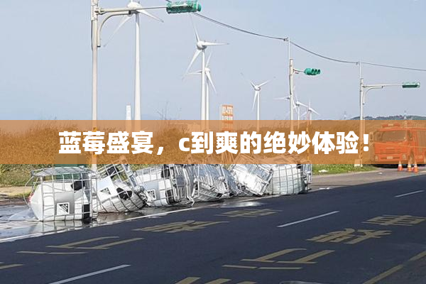 蓝莓盛宴，c到爽的绝妙体验！