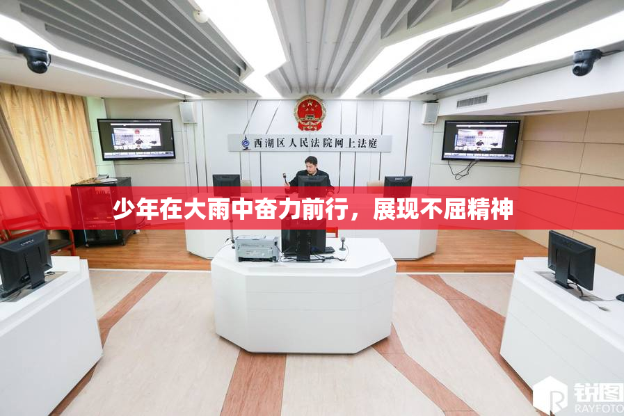 少年在大雨中奋力前行，展现不屈精神
