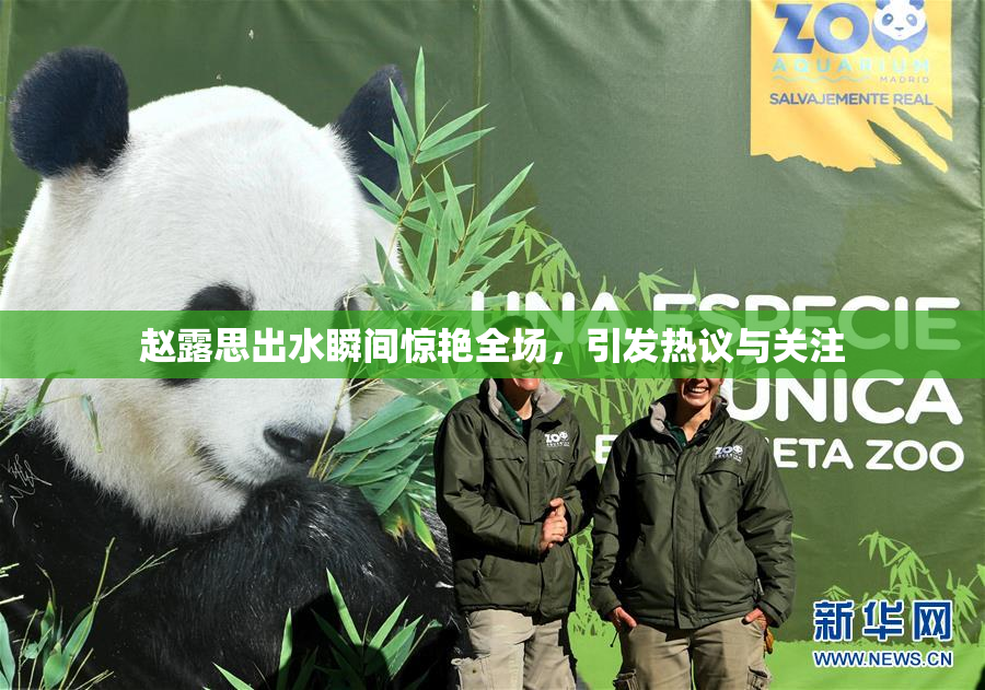 赵露思出水瞬间惊艳全场，引发热议与关注