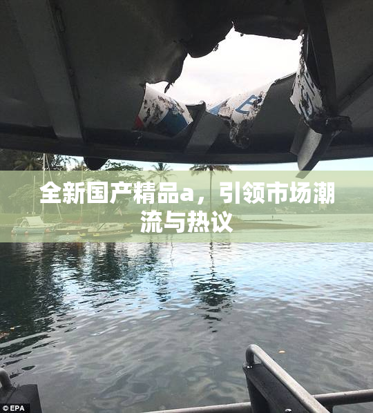 全新国产精品a，引领市场潮流与热议