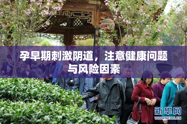 孕早期刺激阴道，注意健康问题与风险因素