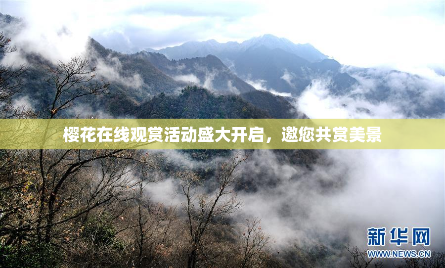 樱花在线观赏活动盛大开启，邀您共赏美景