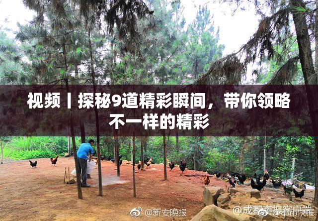 视频丨探秘9道精彩瞬间，带你领略不一样的精彩