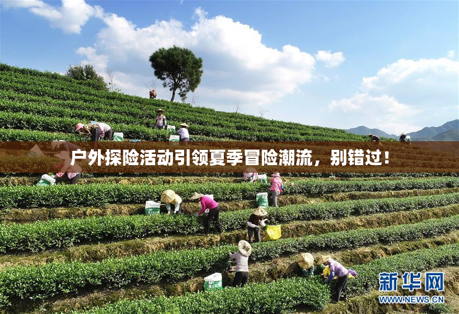 户外探险活动引领夏季冒险潮流，别错过！